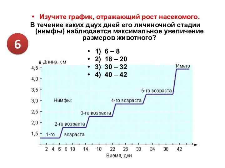 Отражают рост. Изучите график отражающий процесс роста и развития насекомого. График зависимости роста насекомого от времени. График роста насекомого. Графики зависимости в биологии.