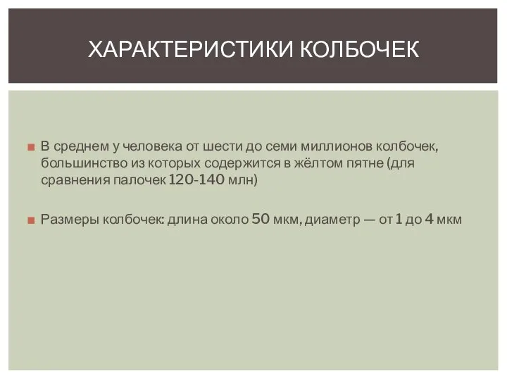 В среднем у человека от шести до семи миллионов колбочек, большинство из