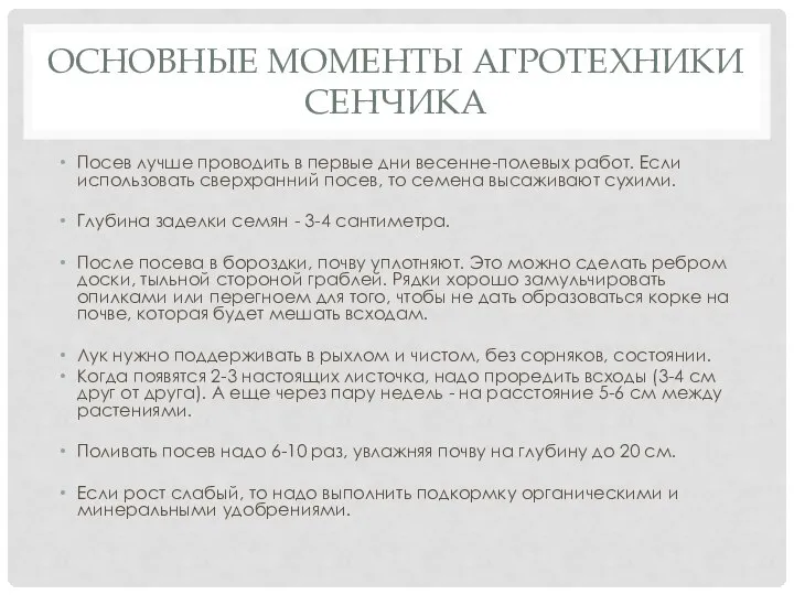 ОСНОВНЫЕ МОМЕНТЫ АГРОТЕХНИКИ СЕНЧИКА Посев лучше проводить в первые дни весенне-полевых работ.