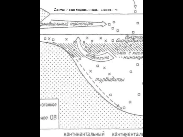 Схематичная модель осадконакопления