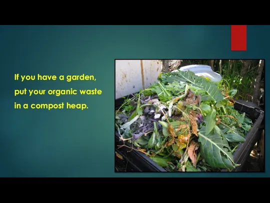 If you have a garden, put your organic waste in a compost heap.