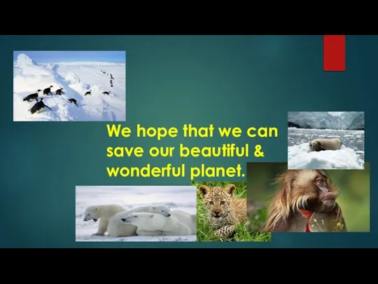 We hope that we can save our beautiful & wonderful planet.