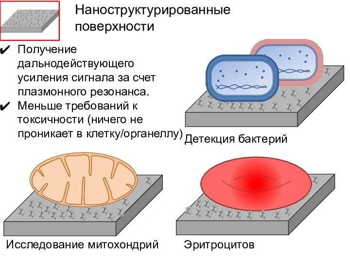 Исследование митохондрий Детекция бактерий Эритроцитов Наноструктурированные поверхности Получение дальнодействующего усиления сигнала за