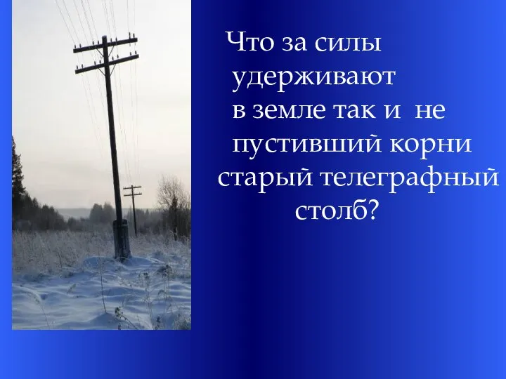 Что за силы удерживают в земле так и не пустивший корни старый телеграфный столб?