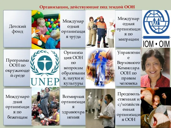 Детский фонд Международная организация по миграции Международная организация труда Международная организация по