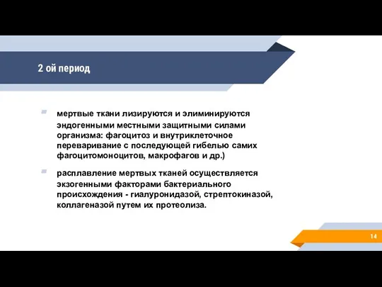 2 ой период мертвые ткани лизируются и элиминируются эндогенными местными защитными силами