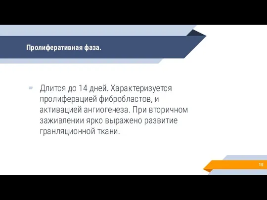 Пролиферативная фаза. Длится до 14 дней. Характеризуется пролиферацией фибробластов, и активацией ангиогенеза.