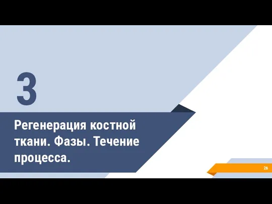 Регенерация костной ткани. Фазы. Течение процесса. 3