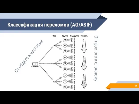 Классификация переломов (AO/ASIF) От простого к сложному От общего к частному