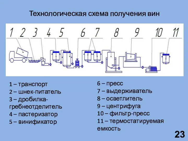 Технологическая схема получения вин 1 – транспорт 2 – шнек-питатель 3 –