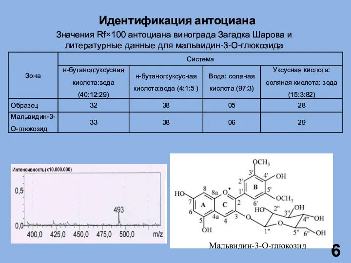 Идентификация антоциана Значения Rf×100 антоциана винограда Загадка Шарова и литературные данные для мальвидин-3-О-глюкозида Мальвидин-3-О-глюкозид