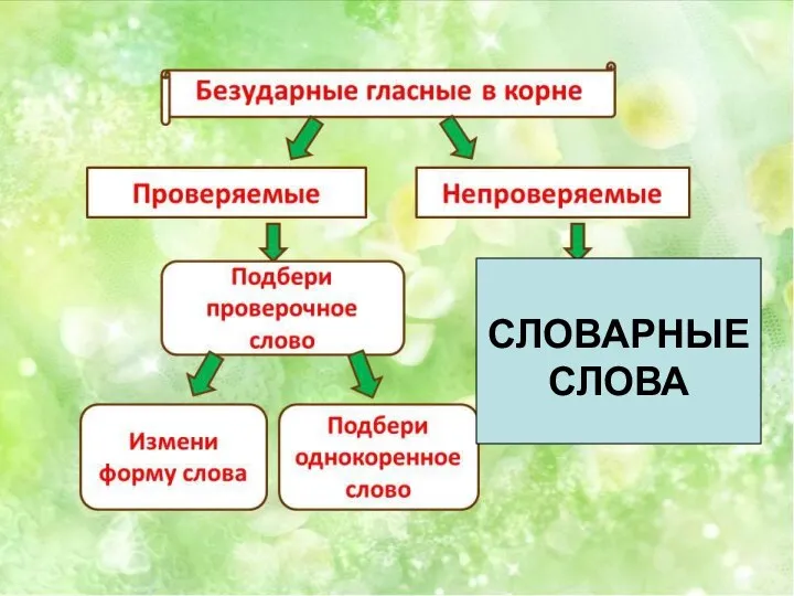 СЛОВАРНЫЕ СЛОВА