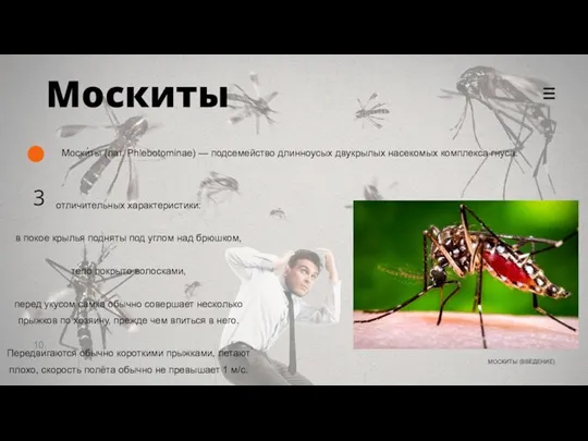 10. Москиты Моски́ты (лат. Phlebotominae) — подсемейство длинноусых двукрылых насекомых комплекса гнуса.