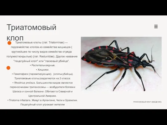 Триатомовый клоп ТРИАТОМОВЫЙ КЛОП (ВВЕДЕНИЕ) Триатомовые клопы (лат. Triatominae) — подсемейство клопов