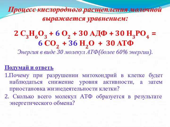 Процесс кислородного расщепления молочной выражается уравнением: 2 С3Н6О3 + 6 О2 +