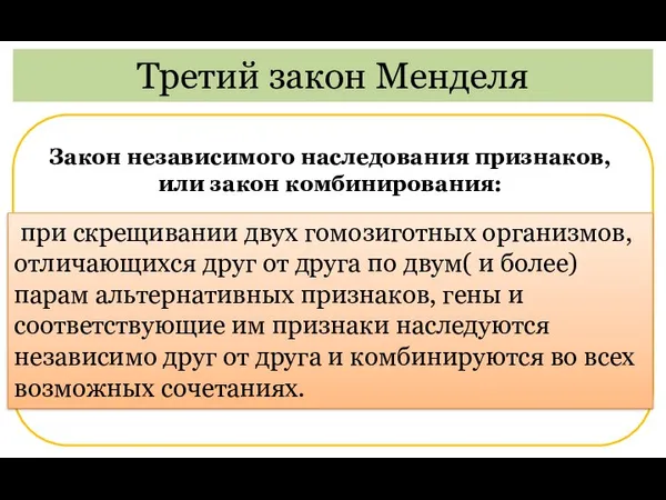 Третий закон Менделя при скрещивании двух гомозиготных организмов, отличающихся друг от друга