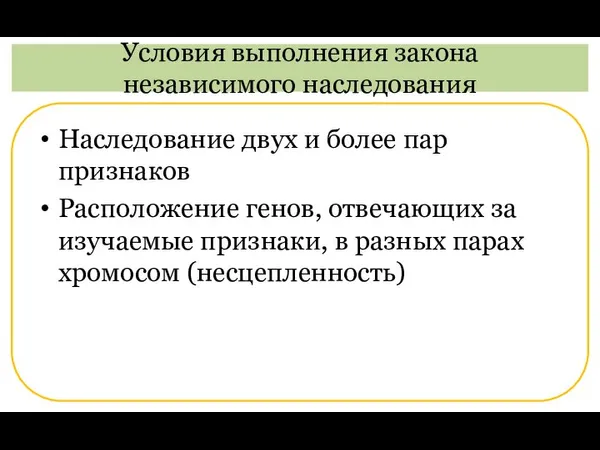 Наследование двух и более пар признаков Расположение генов, отвечающих за изучаемые признаки,