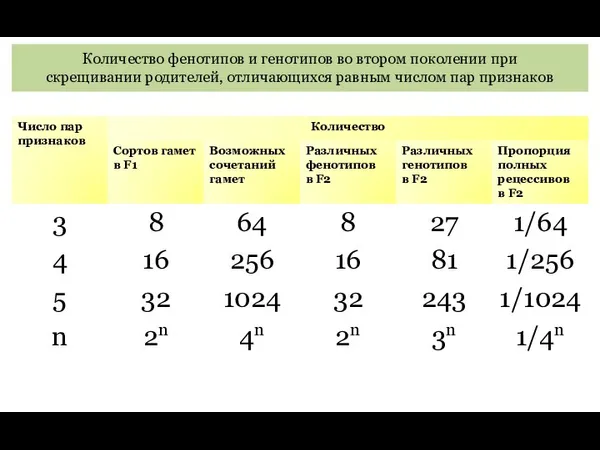 Количество фенотипов и генотипов во втором поколении при скрещивании родителей, отличающихся равным числом пар признаков