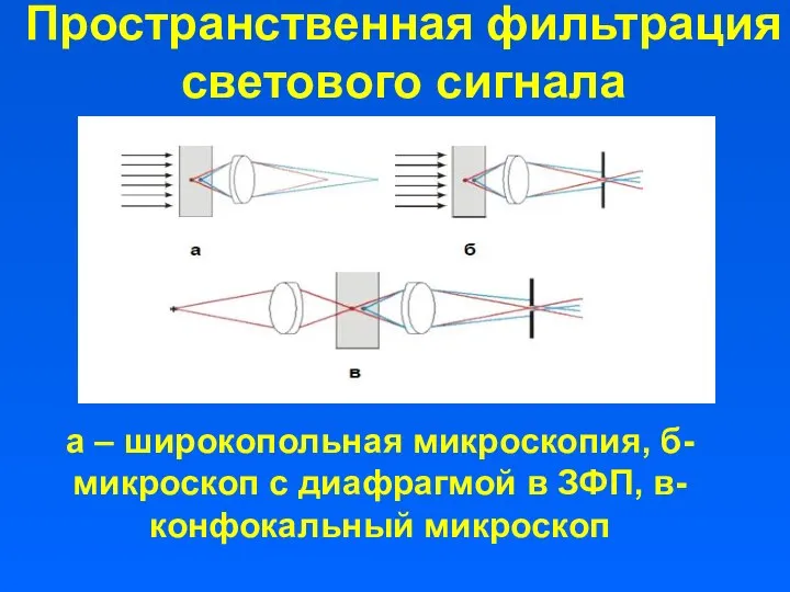 Пространственная фильтрация светового сигнала а – широкопольная микроскопия, б-микроскоп с диафрагмой в ЗФП, в-конфокальный микроскоп