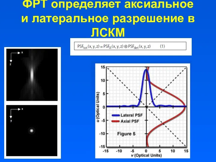 ФРТ определяет аксиальное и латеральное разрешение в ЛСКМ