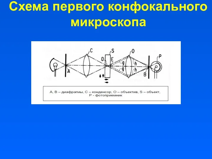 Схема первого конфокального микроскопа