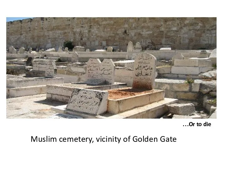 Or to die… Muslim cemetery, vicinity of Golden Gate