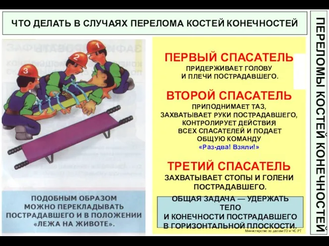 ЧТО ДЕЛАТЬ В СЛУЧАЯХ ПЕРЕЛОМА КОСТЕЙ КОНЕЧНОСТЕЙ ПЕРЕЛОМЫ КОСТЕЙ КОНЕЧНОСТЕЙ ПЕРВЫЙ СПАСАТЕЛЬ