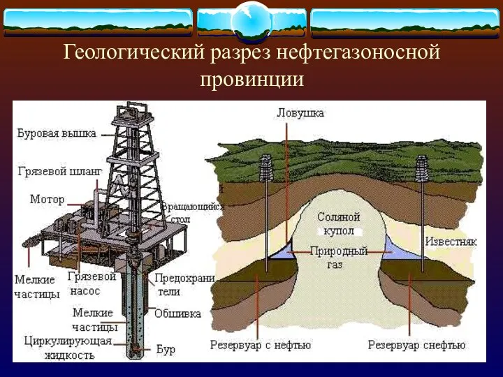 Геологический разрез нефтегазоносной провинции