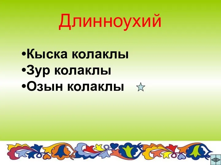 Длинноухий Кыска колаклы Зур колаклы Озын колаклы