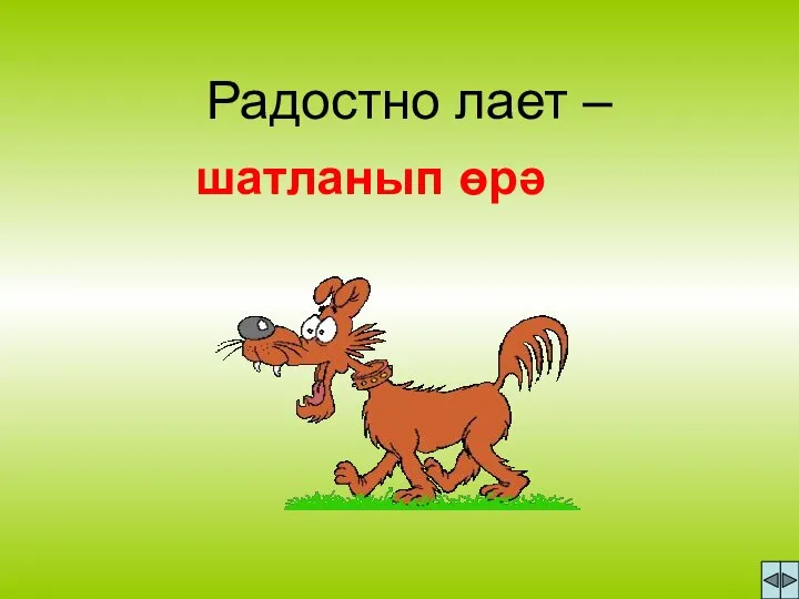 Радостно лает – шатланып өрә