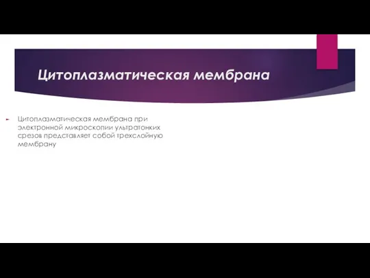 Цитоплазматическая мембрана Цитоплазматическая мембрана при электронной микроскопии ультратонких срезов представляет собой трехслойную мембрану