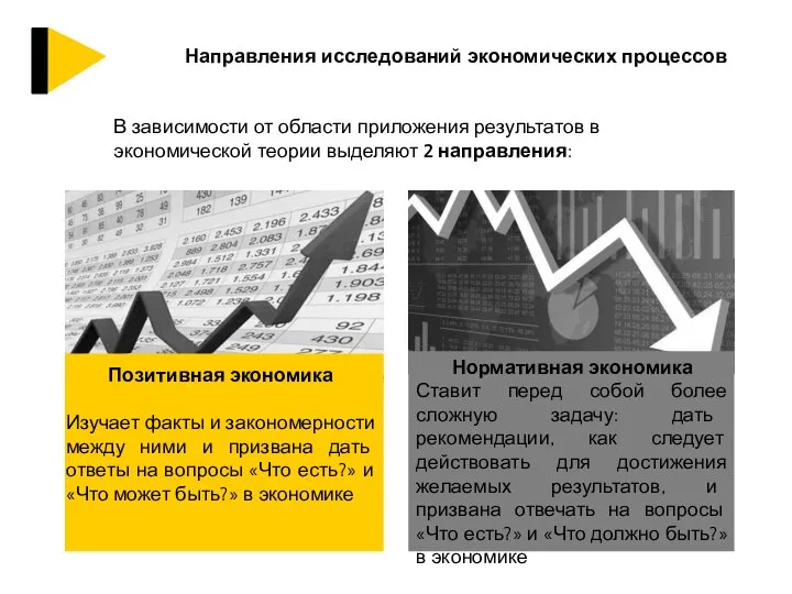 Направления исследований экономических процессов В зависимости от области приложения результатов в экономической