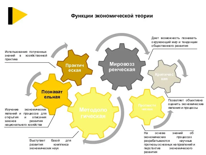 Функции экономической теории Изучение экономических явлений и процессов для открытия и описания