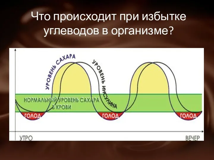 Что происходит при избытке углеводов в организме?