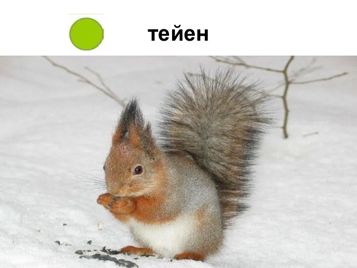 тейен