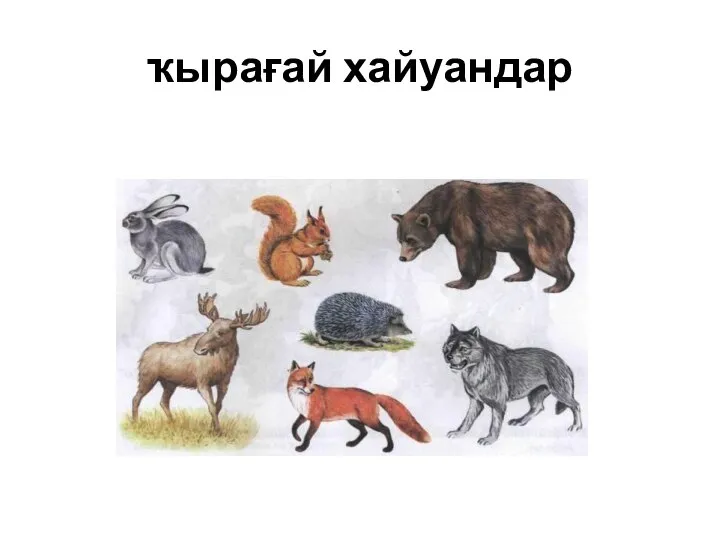 ҡырағай хайуандар