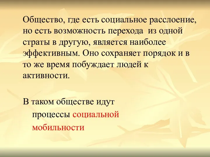 Общество, где есть социальное расслоение, но есть возможность перехода из одной страты