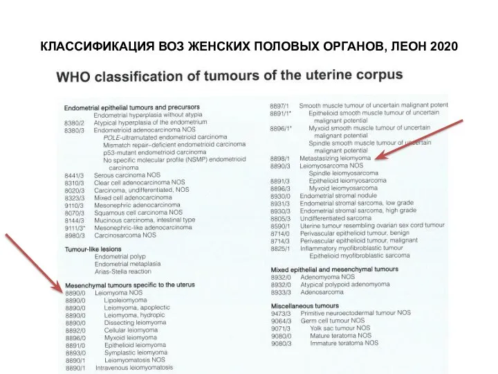 КЛАССИФИКАЦИЯ ВОЗ ЖЕНСКИХ ПОЛОВЫХ ОРГАНОВ, ЛЕОН 2020