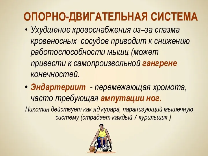 ОПОРНО-ДВИГАТЕЛЬНАЯ СИСТЕМА Ухудшение кровоснабжения из–за спазма кровеносных сосудов приводит к снижению работоспособности