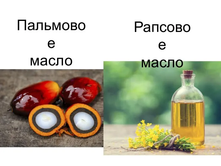 Пальмовое масло Рапсовое масло