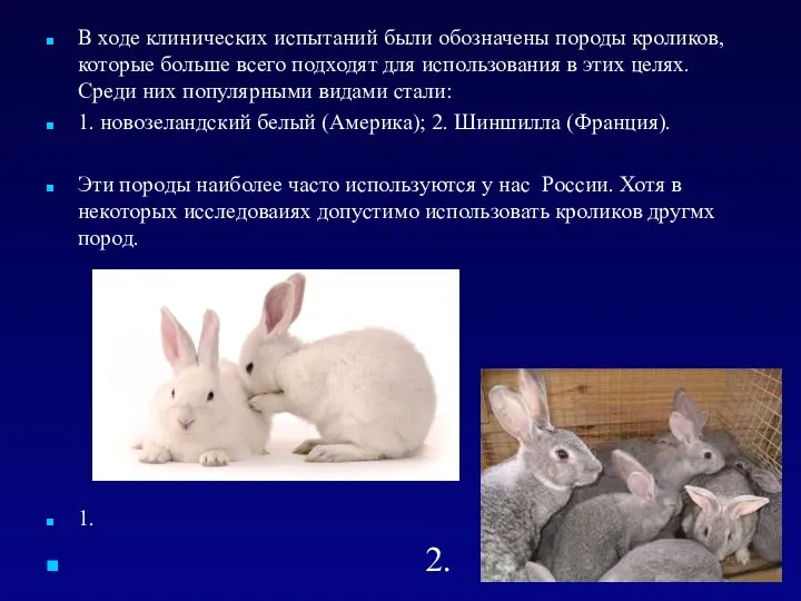 В ходе клинических испытаний были обозначены породы кроликов, которые больше всего подходят