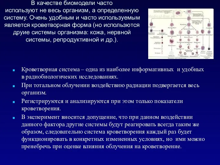 В качестве биомодели часто используют не весь организм, а определенную систему. Очень