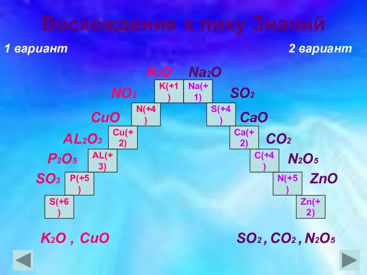 Восхождение к пику Знаний 1 вариант 2 вариант K2O Na2O NO2 SO2