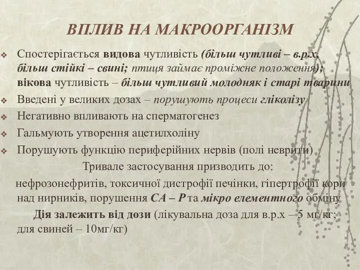 ВПЛИВ НА МАКРООРГАНІЗМ Спостерігається видова чутливість (більш чутливі – в.р.х, більш стійкі