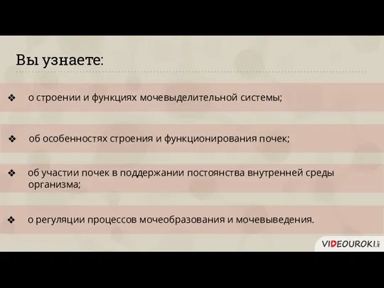 Вы узнаете: о строении и функциях мочевыделительной системы; об особенностях строения и