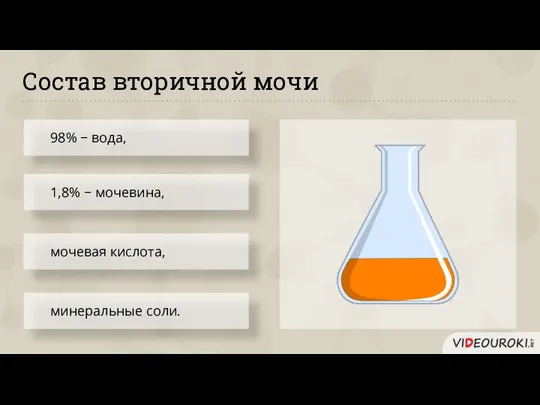 Состав вторичной мочи 98% − вода, 1,8% − мочевина, минеральные соли. мочевая кислота,