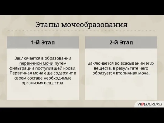 Этапы мочеобразования Заключается во всасывании этих веществ, в результате чего образуется вторичная