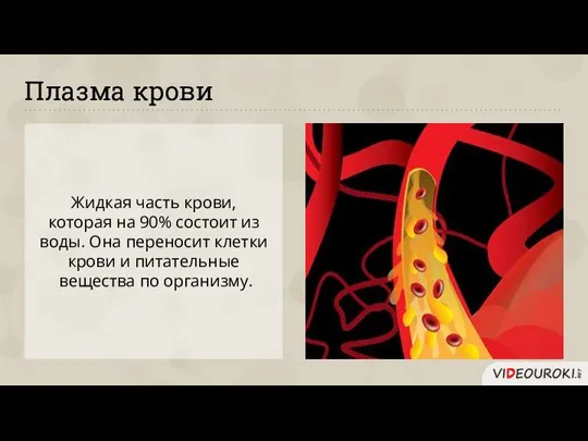 Жидкая часть крови, которая на 90% состоит из воды. Она переносит клетки