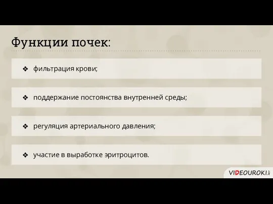 Функции почек: фильтрация крови; поддержание постоянства внутренней среды; участие в выработке эритроцитов. регуляция артериального давления;