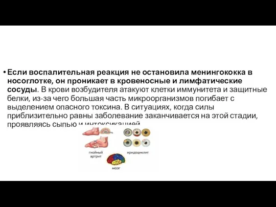 Если воспалительная реакция не остановила менингококка в носоглотке, он проникает в кровеносные